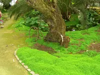 CIMG8029.webp