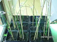 k-BILD0578.webp k-BILD0578.webp