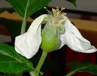 DSCF7446.2.webp