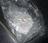 DSCF7273.2.webp