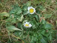 100_2137.webp