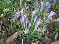 100_2138.webp