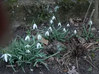 HPIM7314.webp