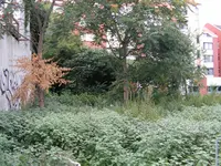 PICT0005.webp