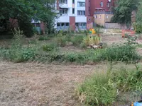 PICT0004.webp