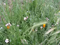 PICT0007.webp