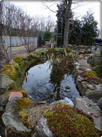 Filterbecken.webp