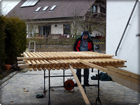 Sichtschutz (6).webp