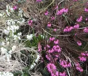 DSC02526 - 2012-03-14 - erika.webp