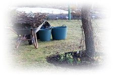 Garten 05.03 (9).webp