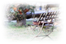 Garten 05.03 (2).webp