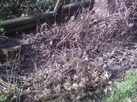 Vorher3.15.03.2012.webp