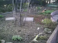 Da geht es weiter.15.03.2012.webp