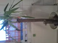 Photo0605.webp