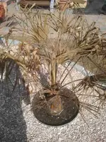 2012-03-15 11.21.19.webp
