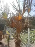 2012-03-15 11.21.06.webp