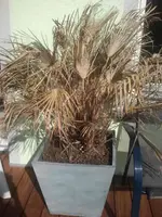2012-03-15 11.20.35.webp