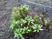 foto1.webp