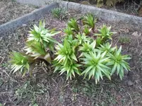 foto2.webp