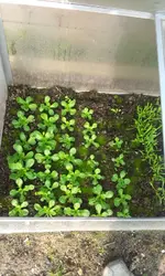 20120314_160458.webp