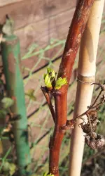 20120314_161340.webp