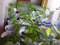 BILD0131.webp