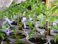 BILD0132.webp