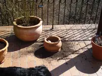 DSC03593.webp