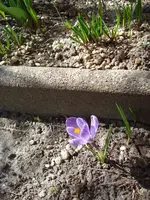 DSC03613.webp