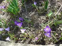 DSC03607.webp