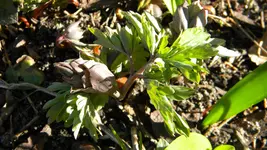 DSCN1699.webp