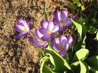 040.webp