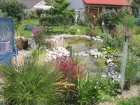 100_0035.webp