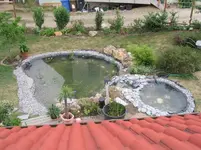 100_0087.webp