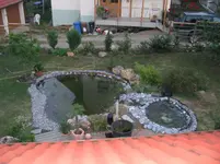 100_0092.webp