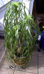IMG-20120317-00954.webp