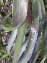 IMG-20120317-00955.webp