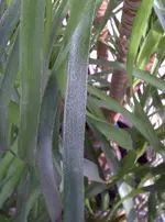 IMG-20120317-00957.webp