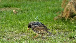 DSCN1708.webp