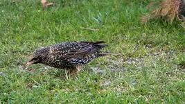 DSCN1709.webp
