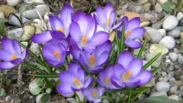 DSCN1717.webp