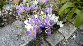 DSCN1711.webp