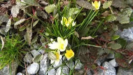 DSCN1710.webp