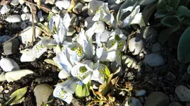 DSCN1695.webp