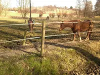 Nachbarschaft.webp