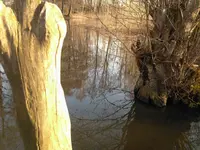 Gut-Holz.webp