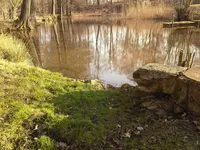 Teich.webp
