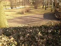 Weitblick.webp