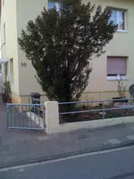 Vorgarten09032012 001.webp