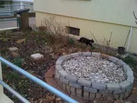 Vorgarten09032012 003.webp
